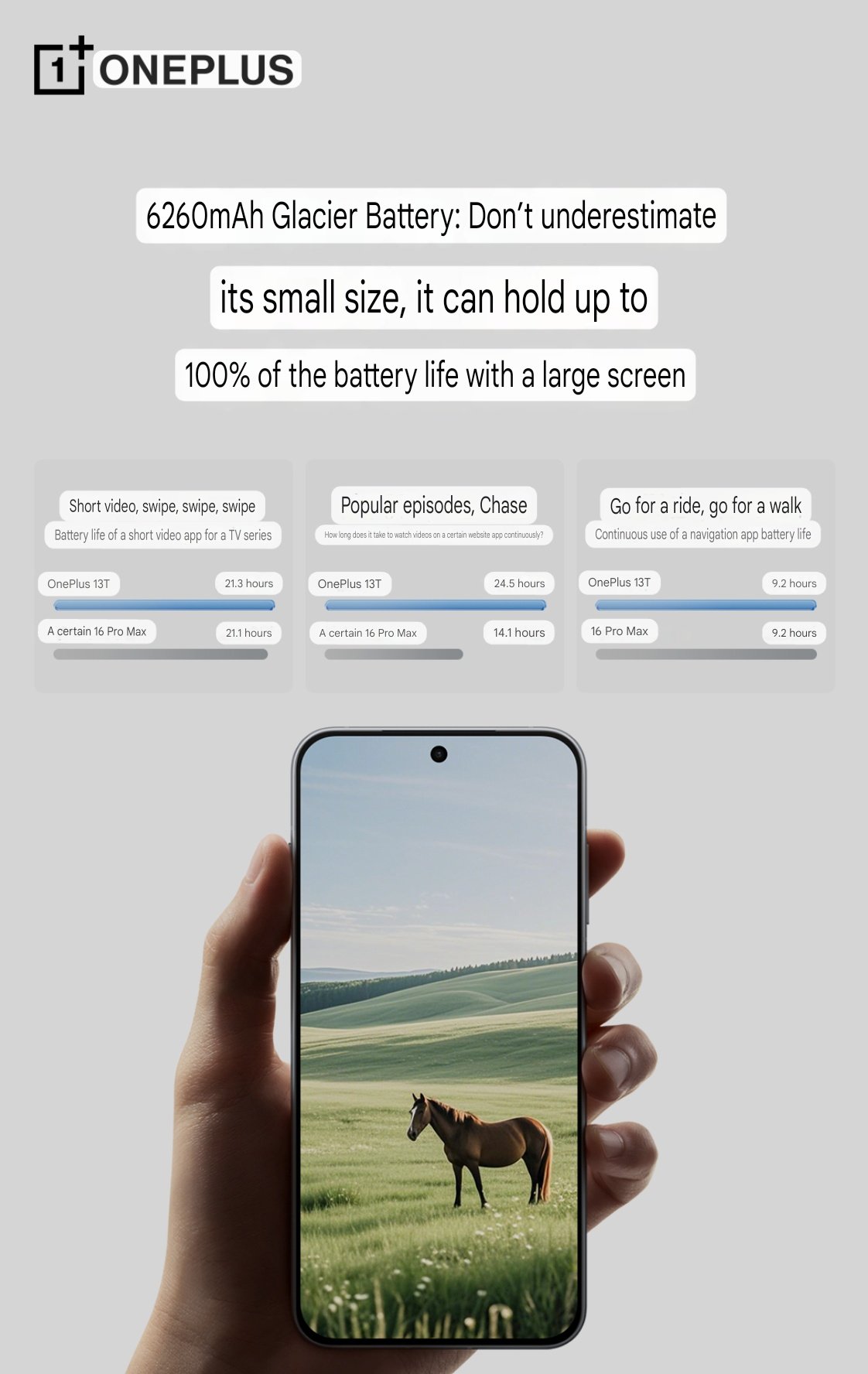 OnePlus 13T