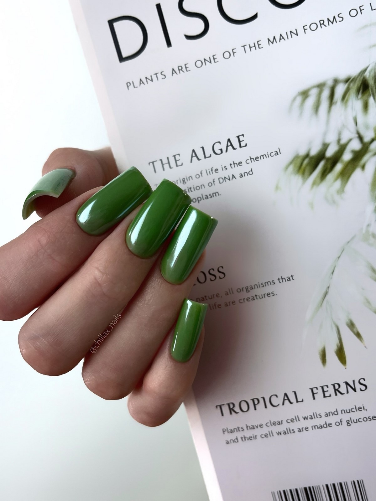 Зимний маникюр в оттенках зеленого как главный акцент 2026